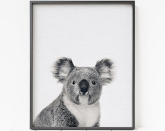 Koala Print, PRINTABLE animal wall decor, koala decor, nursery wall art, children's room art