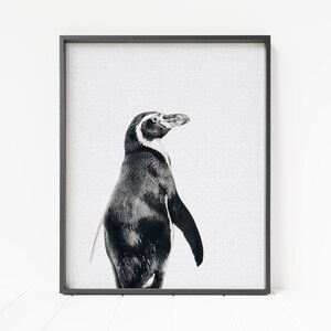 Penguin print, black and white penguin portrait, penguin nursery decor, penguin decor,  penguin art, printable penguin wall art