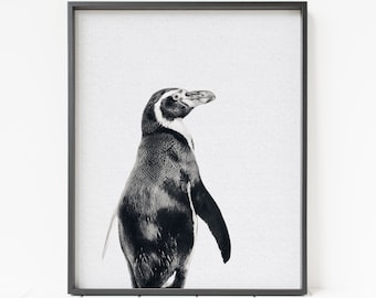 Penguin print, black and white penguin portrait, penguin nursery decor, penguin decor,  penguin art, printable penguin wall art