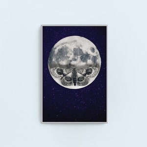 May include: A black and white moth with large eyes is superimposed on a full moon against a dark blue background with white stars.
