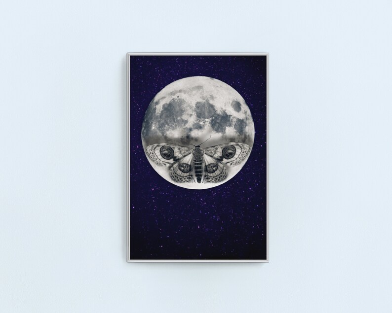 May include: A black and white moth with large eyes is superimposed on a full moon against a dark blue background with white stars.