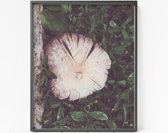 mushroom wall art, forest decor, woodland decor, printable mushroom print, fairy tale decor
