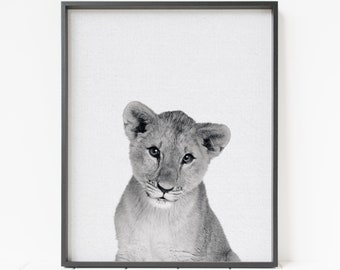 Löwen Print, Baby Löwe Print, Löwe Wandkunst, Löwe Kinderzimmer Wandkunst, druckbare Wandkunst