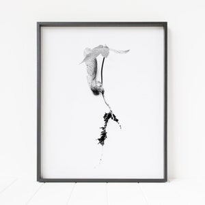 Ahorn Sämling Druck, wissenschaftliche Wandkunst, botanisches Dekor, Pflanzen Wanddekor, minimalistische Kunst