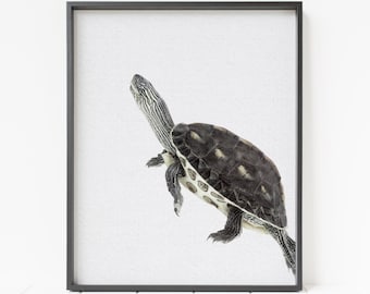 turtle print, swimming turtle, pond turtle, woodland nursery decor, color turtle wall art