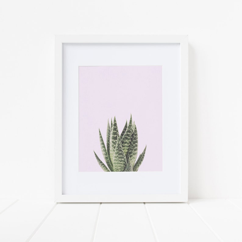 Colorful Succulent Print Pink Wall Decor Cactus Wall Art Etsy
