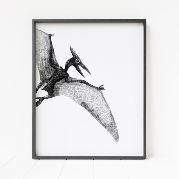 dinosaur print, pterosaur print, dinosaur wall art, dinosaur decor, flying dinosaur, pterodactyl print, pteranodon art