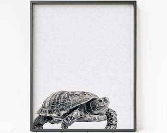 box turtle print, turtle nursery decor, woodland nursery art, printable turtle wall art