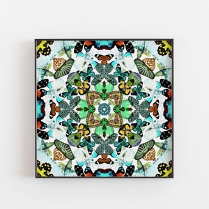 May include: A framed artwork featuring a colorful mandala design created with butterfly wings. The mandala is made up of a variety of colors, including blue, green, yellow, orange, and red. The butterflies are arranged in a symmetrical pattern, creating a visually appealing and intricate design.