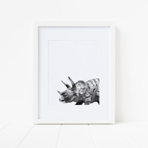 Puede incluir: Fotograf&iacute;a en blanco y negro de la cabeza y el cuello de un dinosaurio Triceratops. El dinosaurio est&aacute; mirando hacia la izquierda de la imagen.