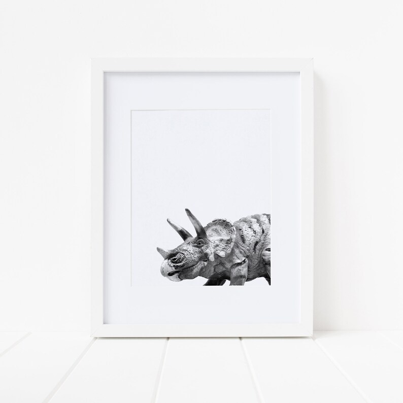Puede incluir: Fotograf&iacute;a en blanco y negro de la cabeza y el cuello de un dinosaurio Triceratops. El dinosaurio est&aacute; mirando hacia la izquierda de la imagen.