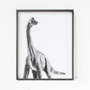 dinosaur wall decor, dinosaur wall art, dinosaur print, longneck print, brachiosaurus, apatosaurus, brontosaurus, nursery art, kid&#39;s room
