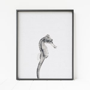 seahorse print, printable seahorse, ocean decor, beach decor, seahorse wall art, black and white seahorse portrait
