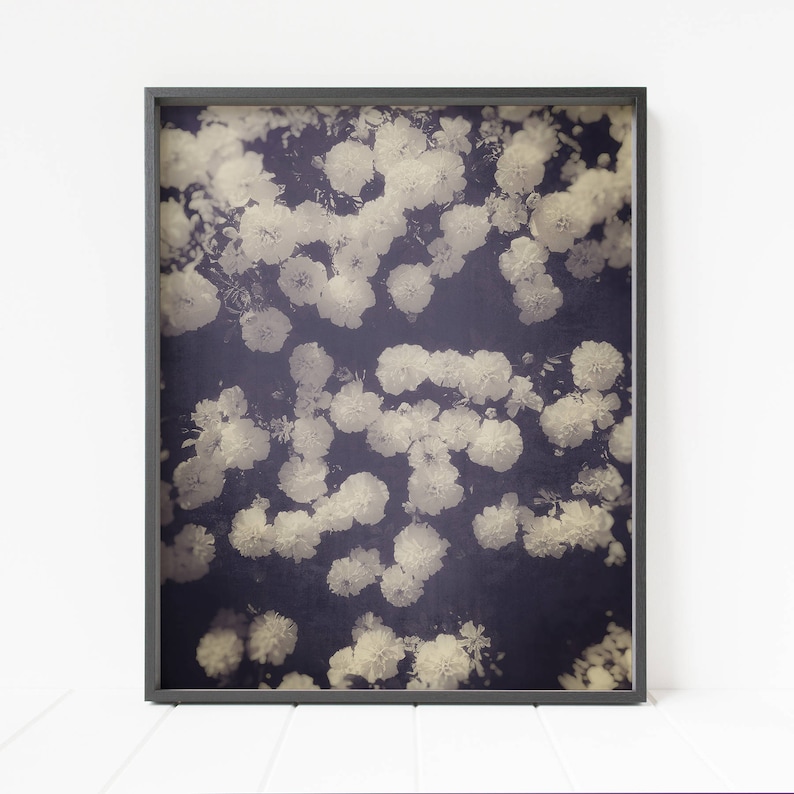 flowers print, black and white vintage floral decor, floral wall art, flower print image 1
