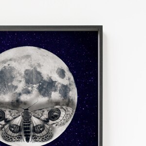 May include: A black and white moth with large eyes sits in front of a full moon against a dark blue starry sky.