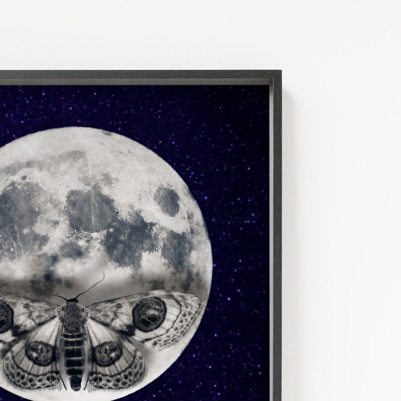 May include: A black and white moth with large eyes sits in front of a full moon against a dark blue starry sky.