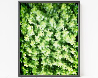 botanical print, plant print, digital download, abstract print, green plant wall art