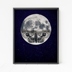 May include: A black and white illustration of a moth with large eyes, superimposed on a full moon against a dark blue starry night sky.