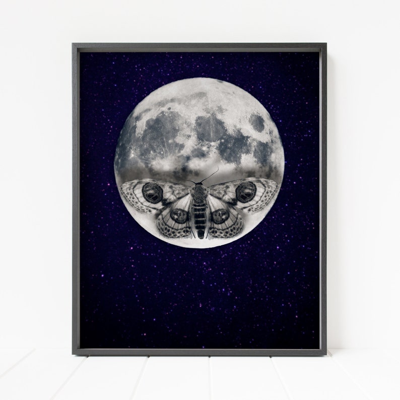 May include: A black and white illustration of a moth with large eyes, superimposed on a full moon against a dark blue starry night sky.