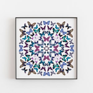 May include: A framed print of a mandala design made of blue, purple, and pink butterflies on a white background.