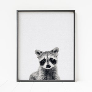 raccoon print, woodland nursery art, PRINTABLE nursery animal, woodland wall art, raccoon decor