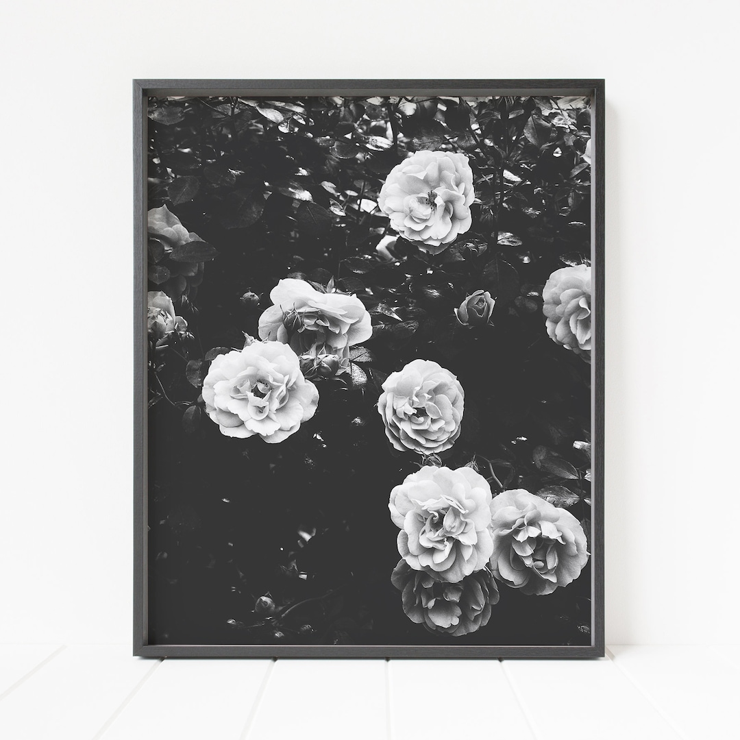 Black and White Floral Wall Decor, Rose Print, Floral Wall Art, Rose