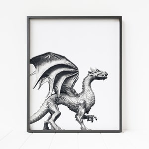 dragon print, dragon wall decor, dragon photograph, black and white dragon wall art