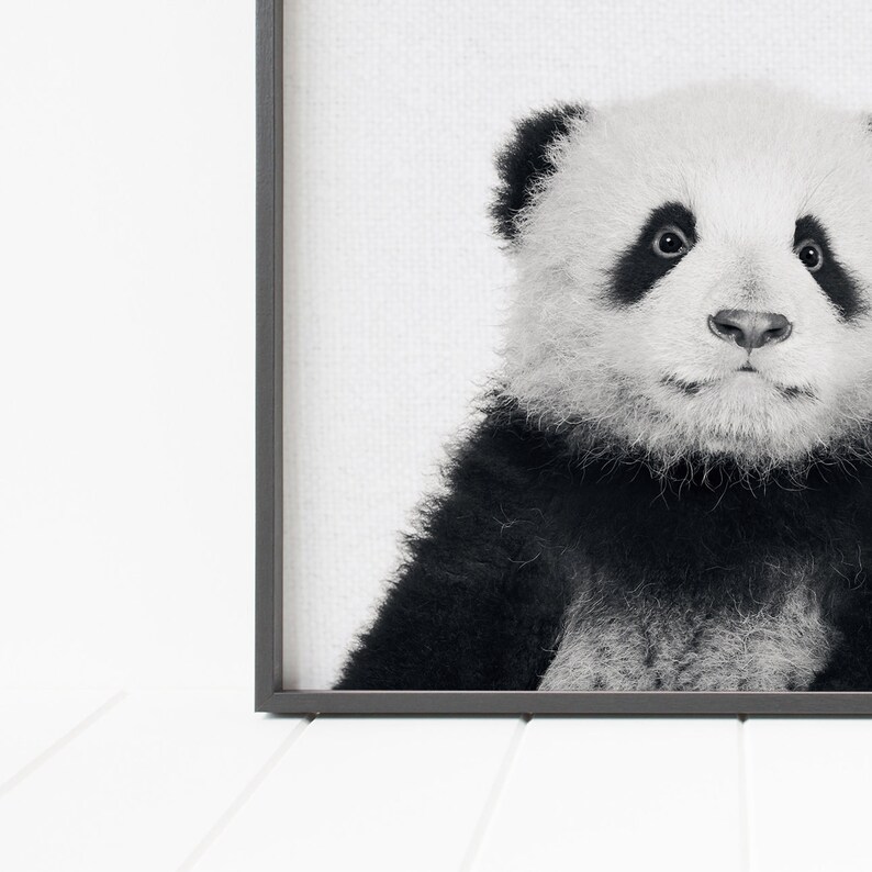 panda print, panda decor, panda wall art, minimalist nursery wall decor image 6