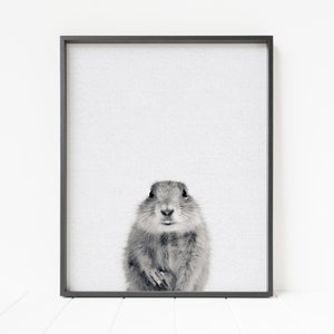 gopher print, prairie dog print, ground squirrel print, gopher wall art