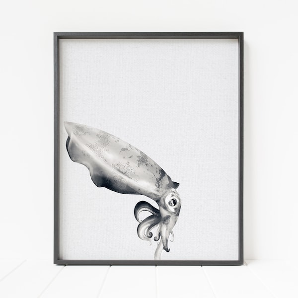 black and white squid print, cuttlefish decor, squid wall art, ocean decor, minimalist animal art