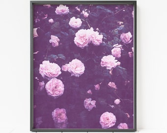 Impresión de flores, impresión de rosas, decoración de rosas, fotografía de flores, impresión artística de flores rosas