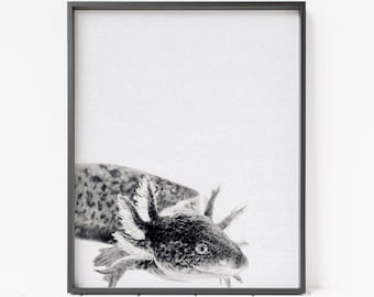 axolotl print in black and white, axolotl decor, axolotl wall art, printable axolotl, minimalist animal decor