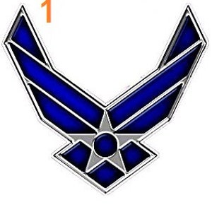 May include: A blue and silver metal pin with the United States Air Force emblem. The emblem features a stylized eagle with wings spread and a star in the center.