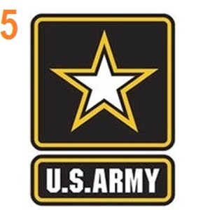 May include: A black and gold U.S. Army patch with a white five-pointed star in the center.