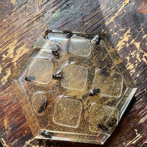 Bee Honeycomb coaster