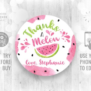 Danke eine Melone Runde Sticker für Gastsäckchen Wassermelonen Party Dekor printable Edit yourself Watermelon Thank You Stickers