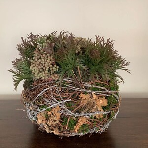 May include: A spherical decorative arrangement featuring a woven twig base, accented with silver wire and patches of moss and dried leaves. The top is adorned with green and burgundy foliage and small, round, light-colored berries, creating a natural, earthy aesthetic.