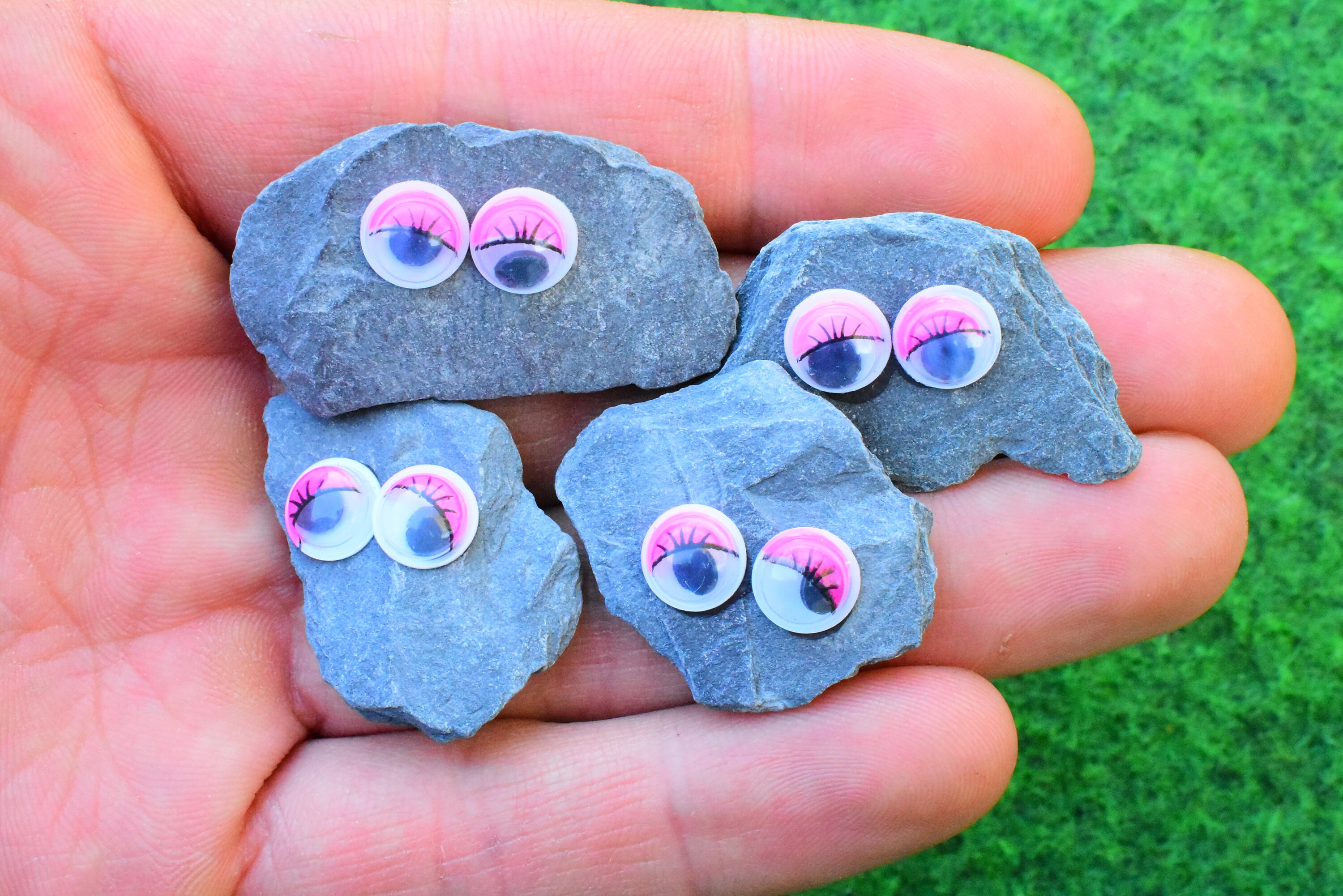 Pet Rock Great Novelty PresentGift for BoyGirl HimHer Etsy