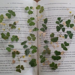Luck of the Irish Clover Bookmark: Real Pressed Clover & Gold Leaf