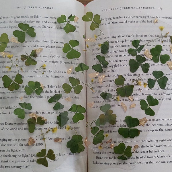 Luck of the Irish Clover Bookmark l St. Patrick's Day l Laminated Bookmarks l Dried Flower Bookmark l Bookish Gifts l Reader Gifts