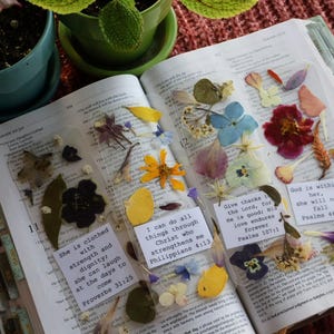 Dried Floral Bookmark: Laminated Bible Verse Bookmark