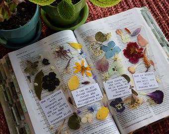 Dried Floral Bookmark: Laminated Bible Verse Bookmark