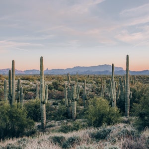 Landscape Photography, Southwest, Photos, Arizona, Desert , Landscapes, Digital Download