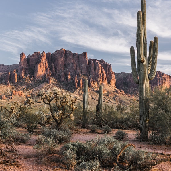 Southwest, Arizona, Desert, Mountain, Cactus, Superstition Mountains, Photo, Home Decor , Wall Art, Photography,  Digital Download