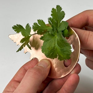 May include: A copper-colored metal tool with a scalloped edge and holes, used for chopping herbs. Fresh green cilantro is being held in the tool.