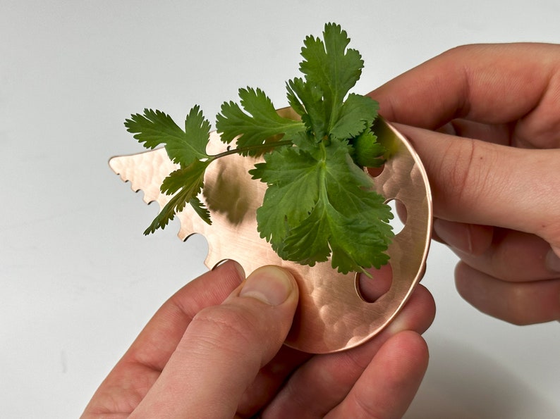 May include: A copper-colored metal tool with a scalloped edge and holes, used for chopping herbs. Fresh green cilantro is being held in the tool.