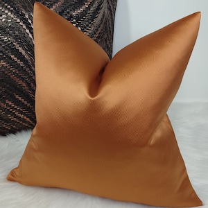 May include: A burnt orange pillow with a smooth, satin-like texture. The pillow is square and has a subtle sheen.