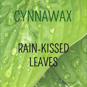 RAIN-KISSED LEAVES Soy & Beeswax Melts