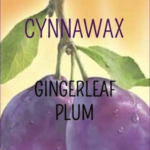 GINGERLEAF PLUM Soy & Beeswax Melts