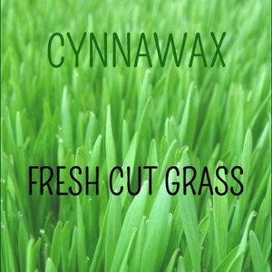 FRESH CUT GRASS Soy & Beeswax Melts